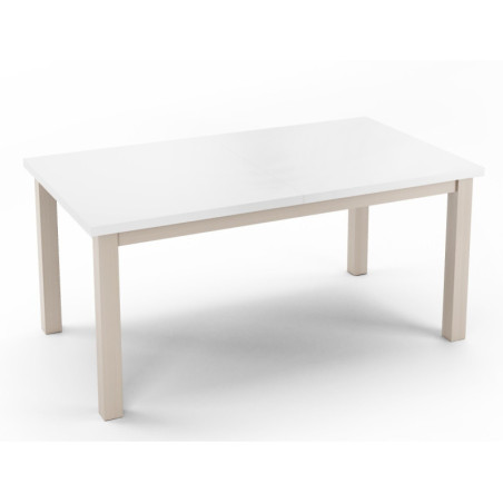 Stół SKANDI biały blat + podstawa kolor 80x150-190